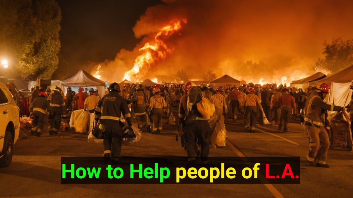 How to Help: Organizations Supporting L.A. Wildfire Victims